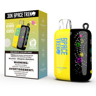 Double Mango Ice Space Trek 30000 Puffs Disposable Vape Ct 5